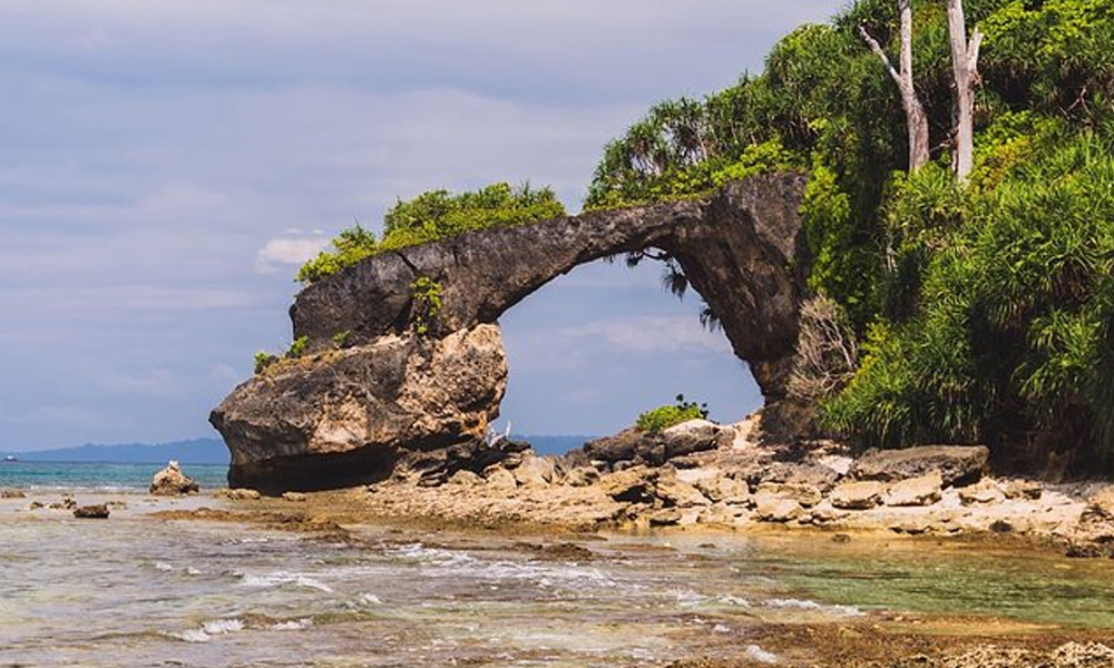 Neil Island Coral Beaches Tour