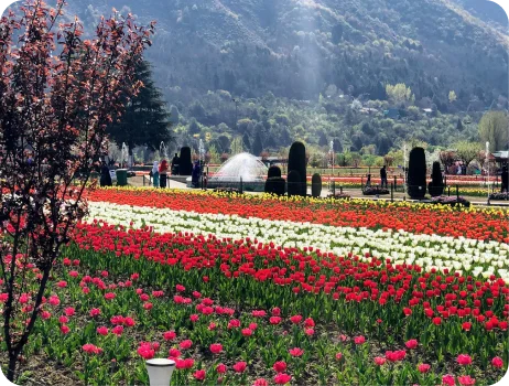 Kashmir Tour Package from Pune - Valleys Houseboats Snow