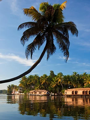 Kerala backwaters and beaches