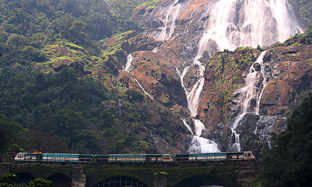 Dudhsagar Waterfall Trek Adventure Tour in Goa