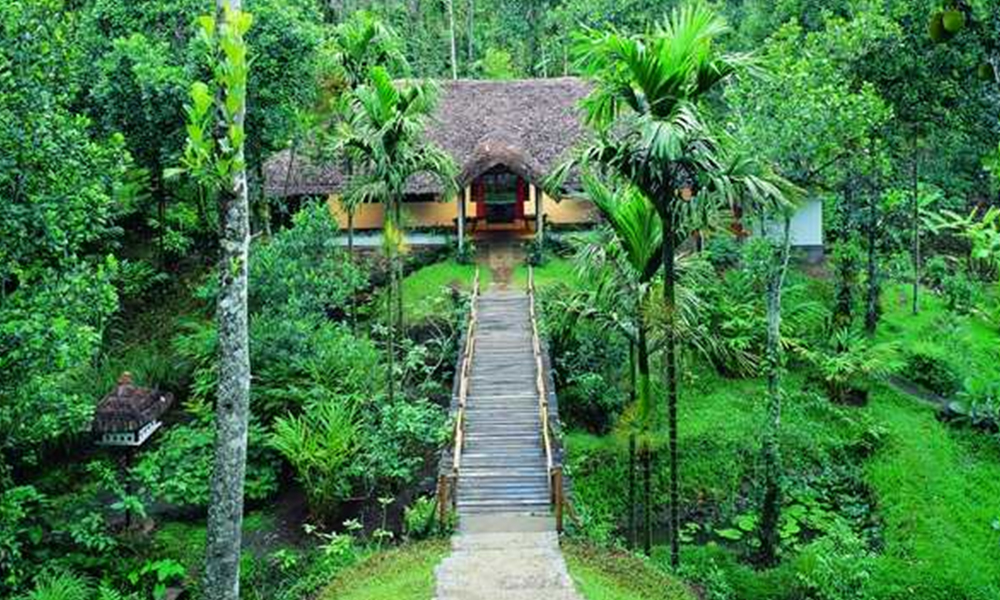 Spice Garden Tour Goa Plantation