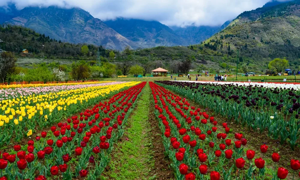 Kashmir premium tour package from Pune – Shahi Retreat 5 days luxury trip