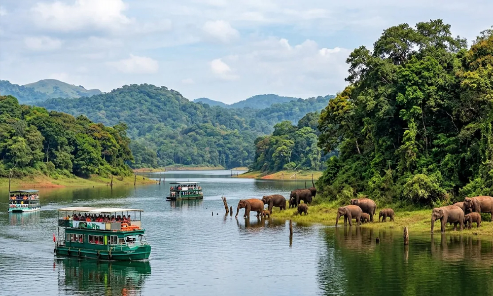 Thekkady Wildlife Sanctuary Kerala family tour packages