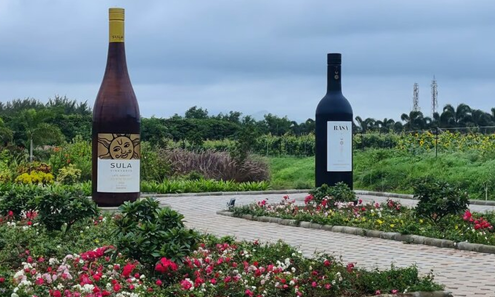 Nashik vineyard tour – wine tasting at Maharashtra's premier wine valley