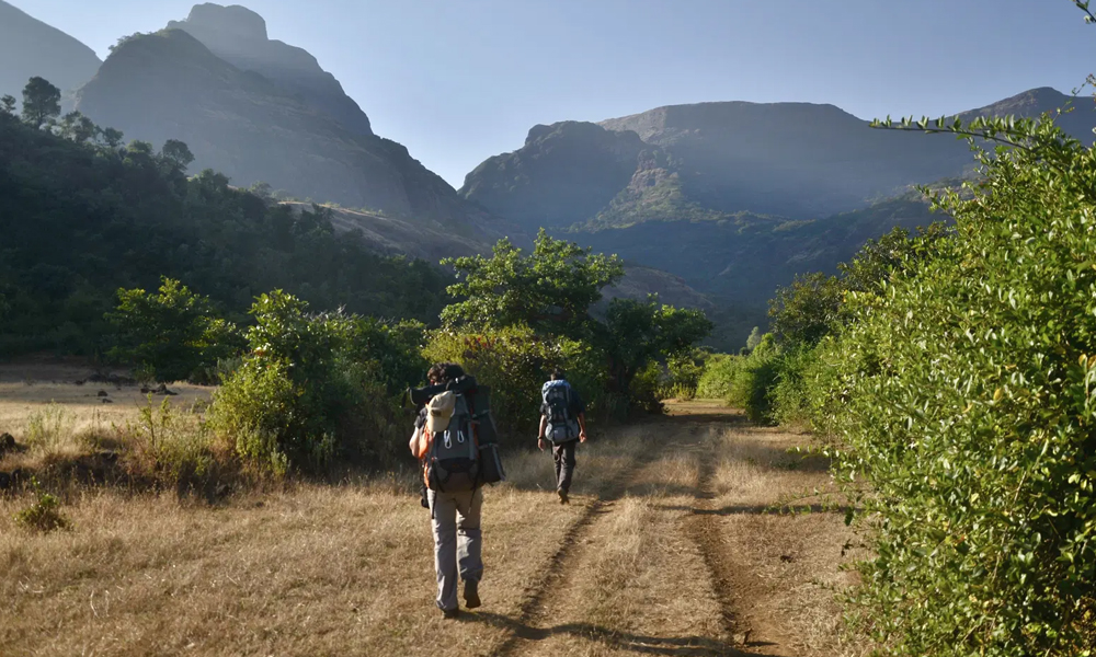 Western Ghats trekking through biodiversity-rich forests and waterfalls